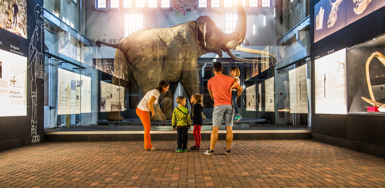 Eine Frau, ein Mann und ein Kind betrachten ein ausgestelltes Mammut im Museum.