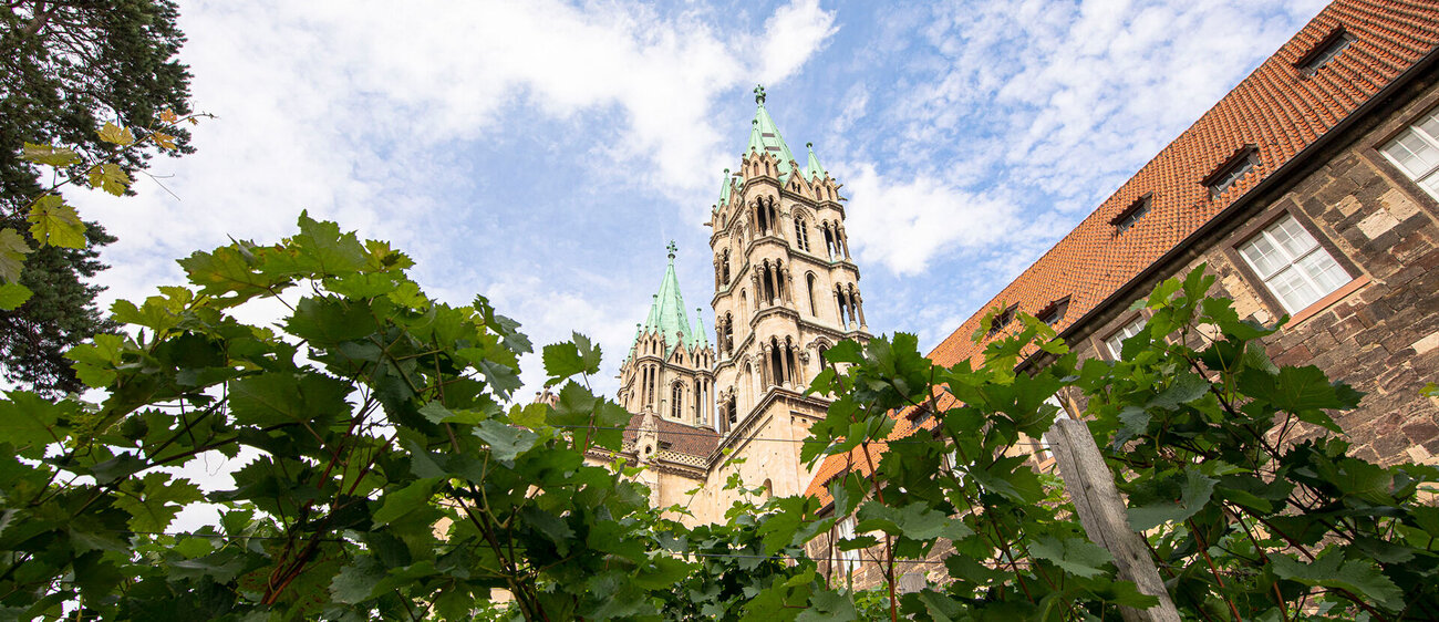 Blick auf den Naumburger Dom