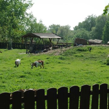 Südpark Merseburg mit Heimatnaturgarten