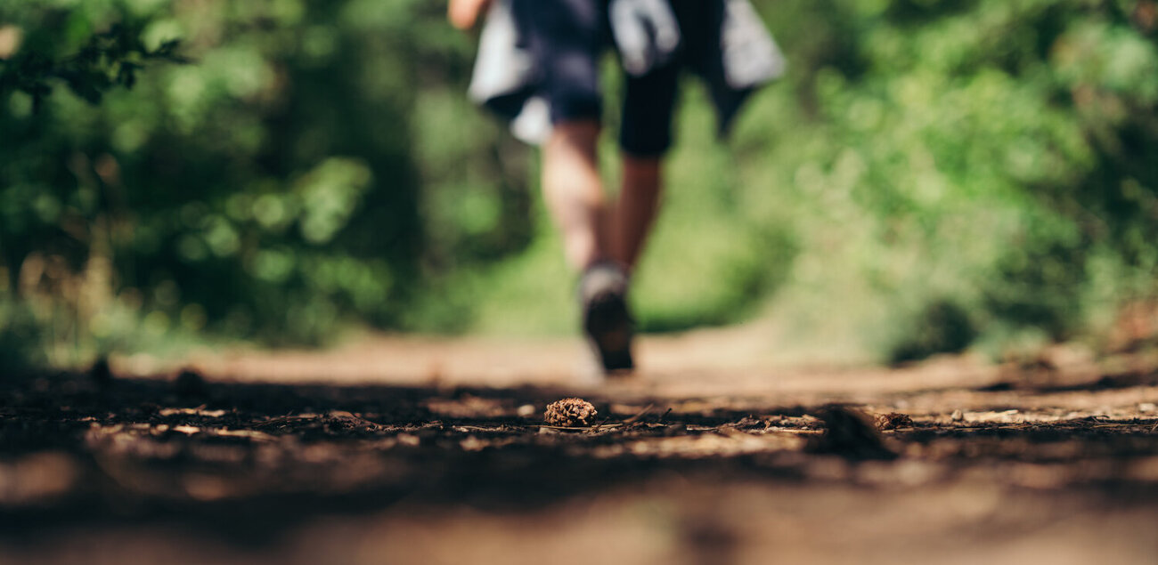 Wandern auf den Wanderwegen durch Saale-Unstrut