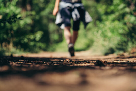Wandern auf den Wanderwegen durch Saale-Unstrut