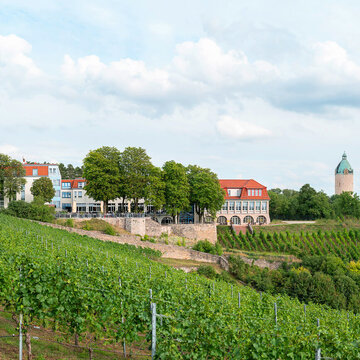 Aussicht vom Weinberg auf Weinberghotel Edelacker