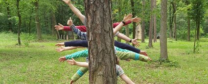 Ein Baum im Wald hinter dem mehrere Kinder stehen. Es sind allerdings nur die Hände sichtbar, welche wie eine Art Stern angeordnet sind. 