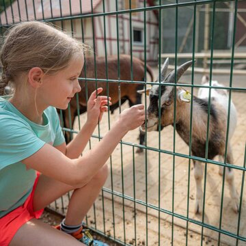 Streichelgehege im Tierpark Lützen