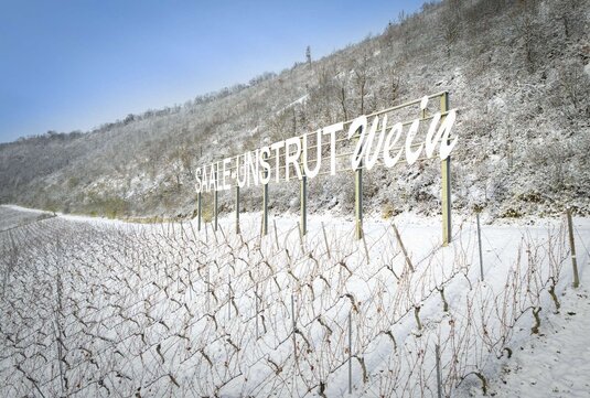 Weinberge bei Bad Kösen im Schnee, im Hintergrund der in die Landschaft gebaute Schriftzug Saale-Unstrut-Wein