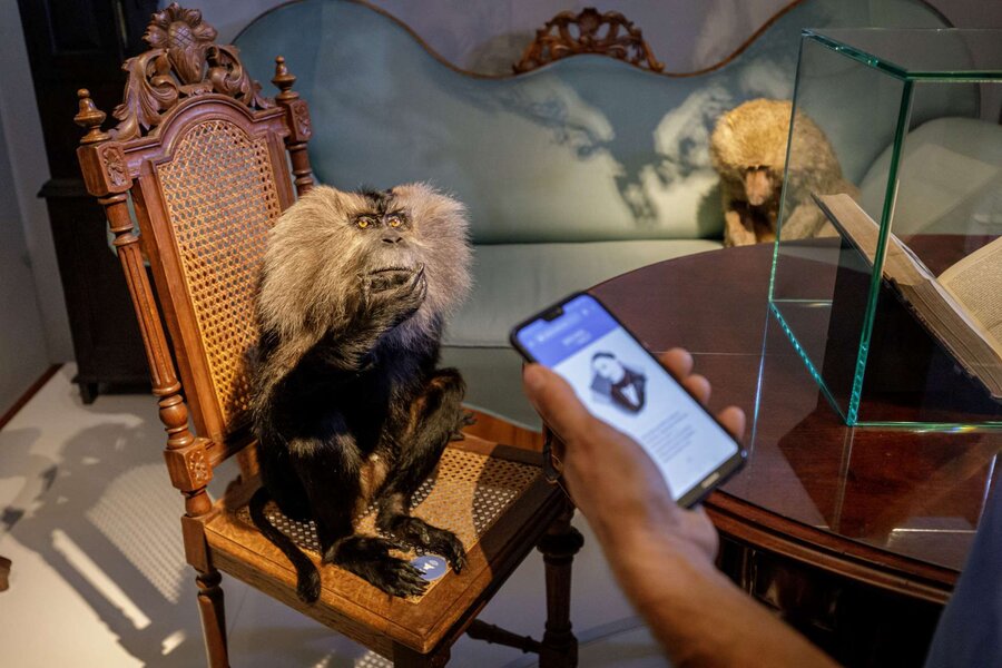 Auf einem Stuhl sitzt ein Affe, davor ist eine Hand zu sehen, die ein Handy mit einer geöffneten App zeigt. Die App führt durch das Museum Brahms Welt.
