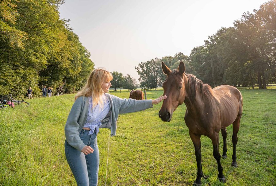 Zwischenstopp auf dem Elsterradweg an einer Pferdekoppel