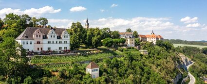 Luftaufnahme der Dornburger Schlösser auf einem hohen Felsen mit darunterliegendem Weinberg als Steilterrasse