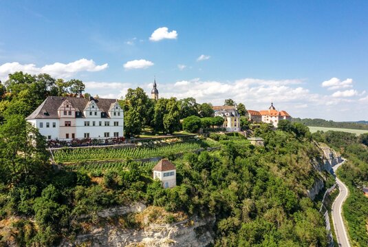 Luftaufnahme der Dornburger Schlösser auf einem hohen Felsen mit darunterliegendem Weinberg als Steilterrasse