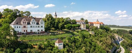 Luftaufnahme der Dornburger Schlösser auf einem hohen Felsen mit darunterliegendem Weinberg als Steilterrasse