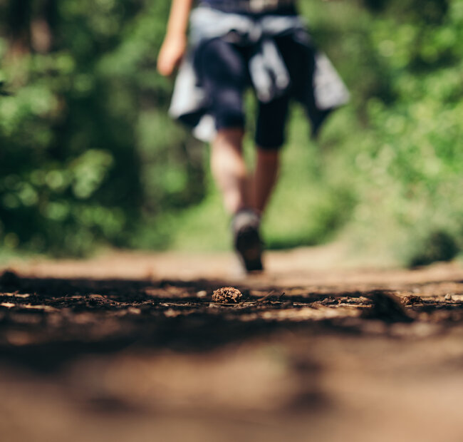 Wandern auf den Wanderwegen durch Saale-Unstrut