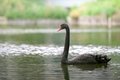 Im Tierpark Bad Kösen den Tieren ganz nah kommen