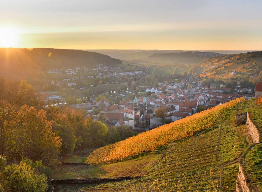 Herbstliche Weinberge im Sonnenuntergang mit Blick auf das Unstruttal und Freyburg