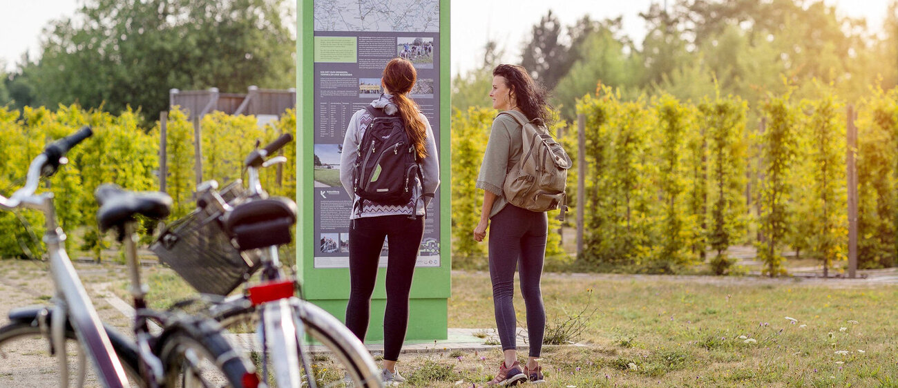 Wandelgänge Mondsee am Recarbo-Kohle-Radweg