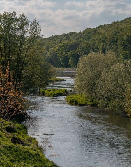 Fluss Weiße Elster mit Stromschnellen