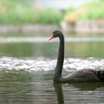 Im Tierpark Bad Kösen den Tieren ganz nah kommen