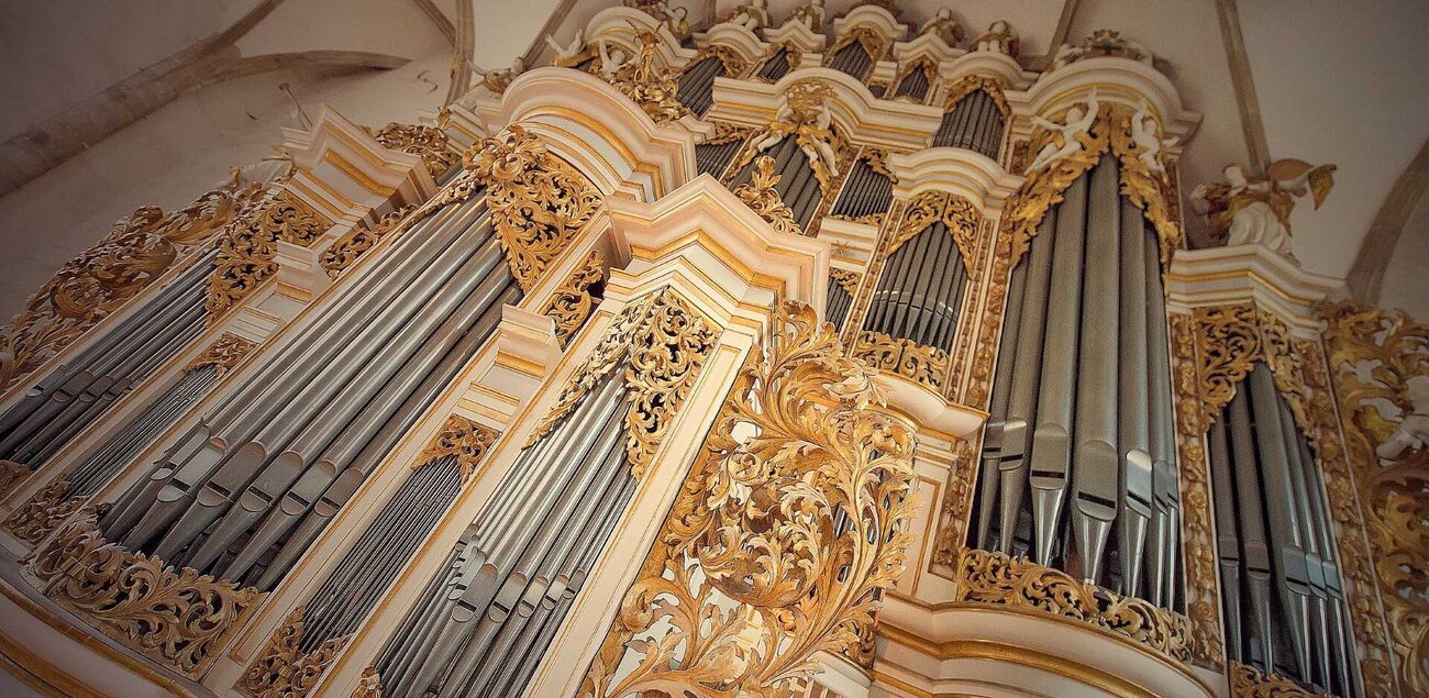 Prospekt der Ladegastorgel im Merseburger Dom mit vielen Goldelementen und verschieden großen Orgelpfeifen