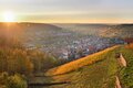 Herbstliche Weinberge im Sonnenuntergang mit Blick auf das Unstruttal und Freyburg