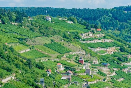 Schweigenberge in Freyburg