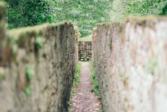 Zwei Moos bewachsene Mauern ergeben einen Pirschgang der Jagdanlage Rieseneck bei Hummelshain. Oberhalb der Mauern  stehen Bäume.
