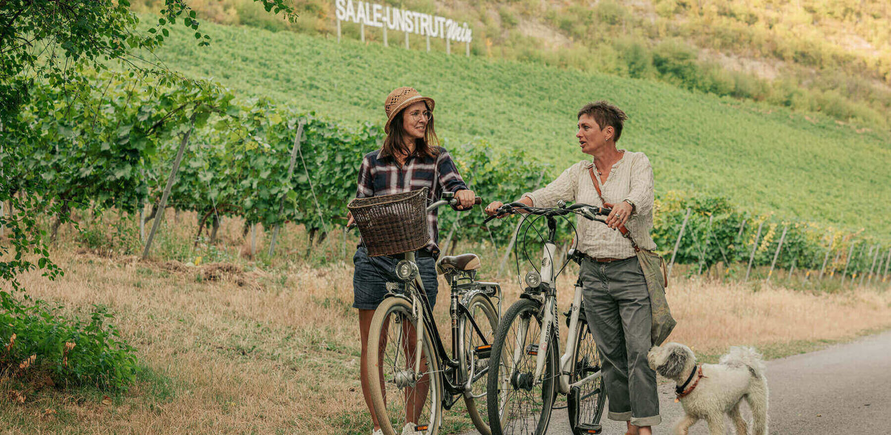 Frauen schieben Fahrräder durch Weinberge in Saale-Unstrut