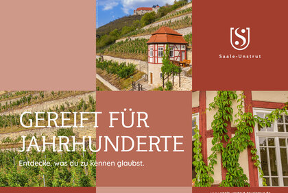 Weinkulturlandschaft