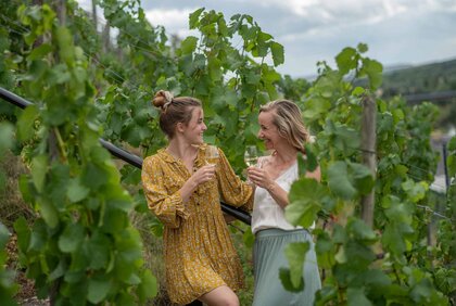 Weingenuss im Weinberg bei Freyburg