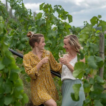 Weingenuss im Weinberg bei Freyburg