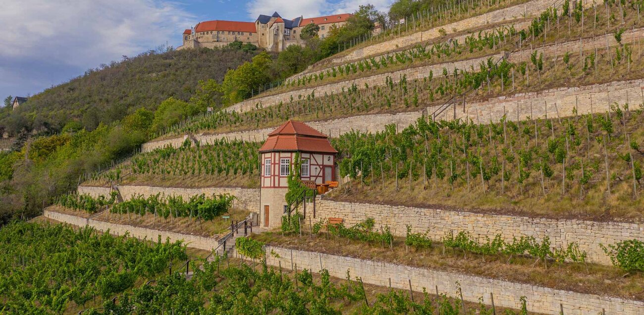 Herzoglicher Weinberg mit Weinbergshäuschen unterhalb von Schloss Neuenburg in Freyburg