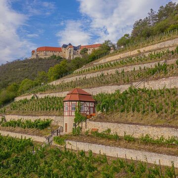 Herzoglicher Weinberg mit Weinbergshäuschen unterhalb von Schloss Neuenburg in Freyburg