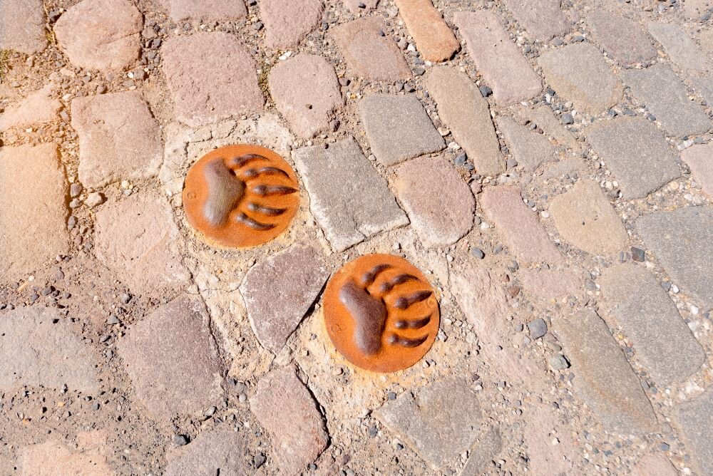 youtube Video Thumbnail: 