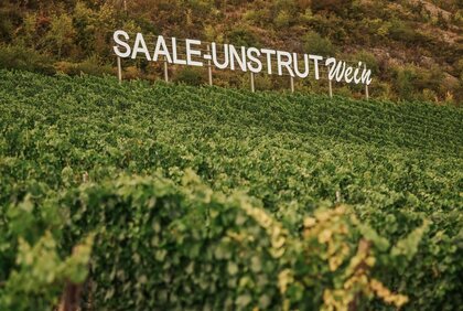 Weingut mit Schriftzug Saale-Unstrut Wein
