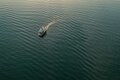 Hausboot fährt einsam auf dem Geiseltalsee, dessen Wasseroberfläche in der untergehenden Sonne glitzert