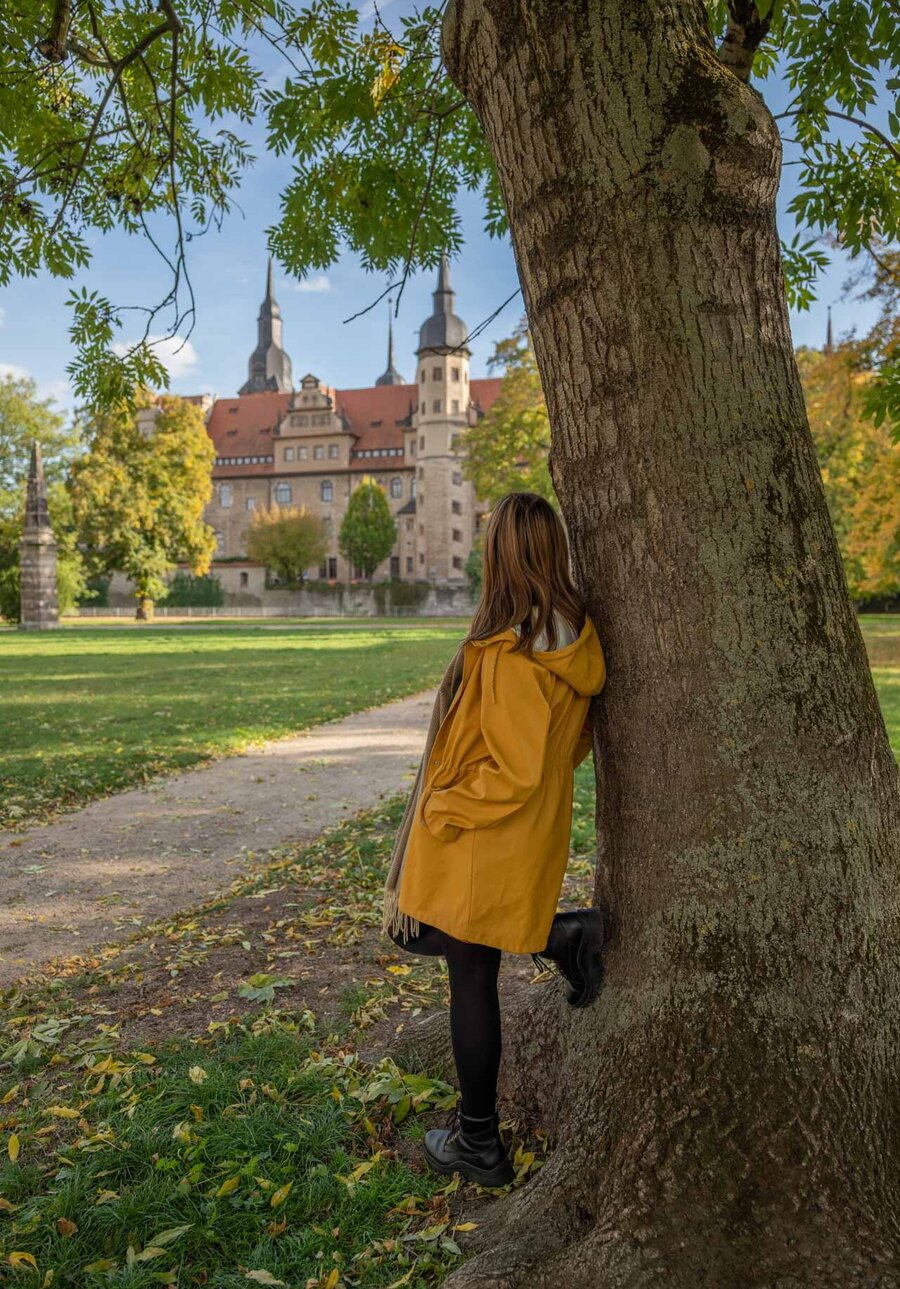 Herbstlicher Schlosspark Merseburg mit Blick auf Dom und Schloss