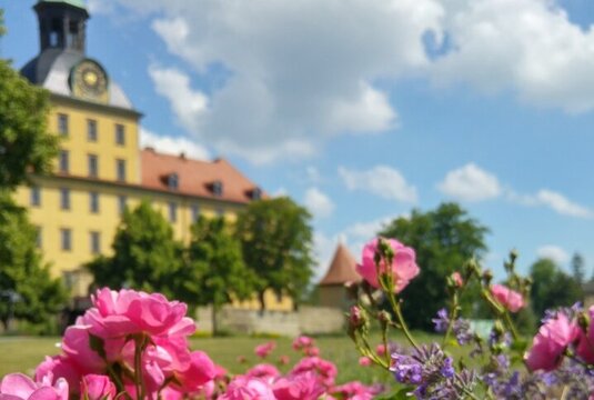Schlosspark Zeitz mit blühender Pracht, dahinter das Schloss Moritzburg
