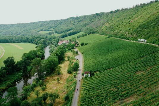 Luftaufnahme der Saalhäuser Weinberge bei Bad Kösen mit dem Schriftzug überlebensgroßen "Saale-Unstrut-Wein", dem Saaleradweg und der Saale