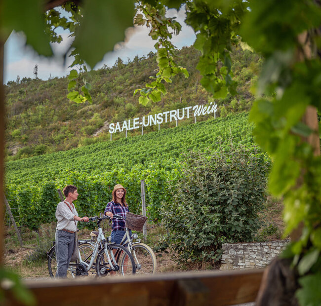 Entlang der Saalhäuser Weinberge bei Schulpforte