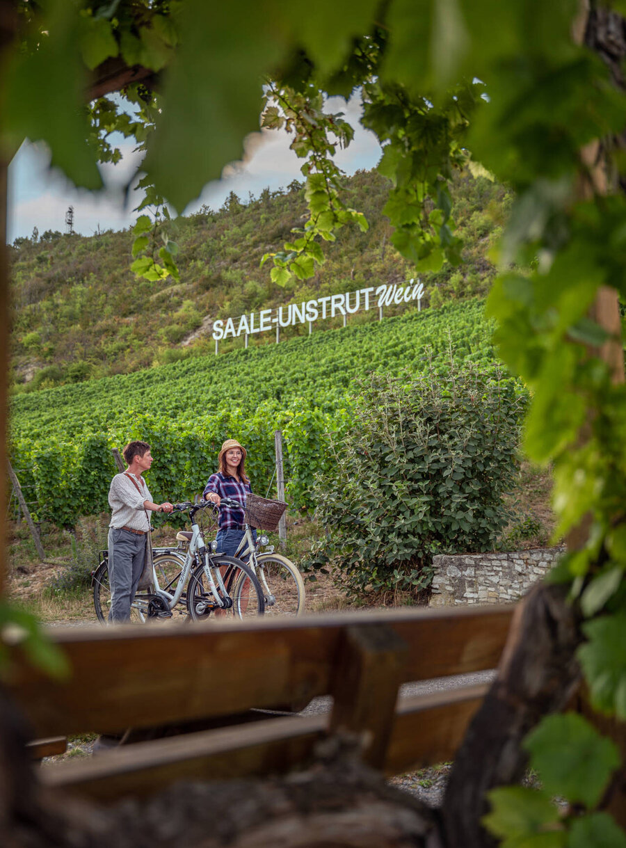 Entlang der Saalhäuser Weinberge bei Schulpforte