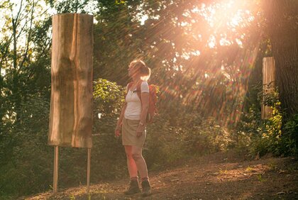 Kunstwerk entlang des Kunstwegs von der Arche Nebra zum Mittelberg