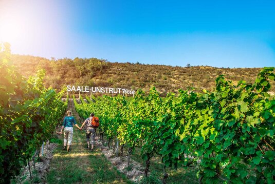 Wandern entlang der Saalhäuser Weinberge bei Bad Kösen