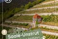 Podcast-Thumbnail zu „Saale-Unstrut – wo die Reise hinführt“: Blick auf terrassierte Weinberge mit Weinberghäuschen und Schloss Neuenburg oberhalb von Freyburg. Darüber liegt der Podcast-Schriftzug mit Mikrofon- und Karten-Symbol.