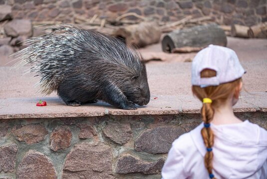 Tierbegegnung im  Tierpark Petersberg