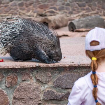 Tierbegegnung im  Tierpark Petersberg