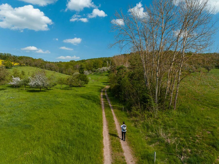 Wanderung bei Haynsburg