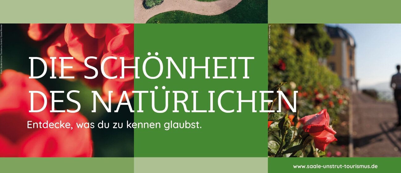 Fotocollage mit Schriftzug "Die Schönheit des Mittelalters". Bild 1 zeigt eine rote Dahlie in Nahaufnahme. Bild 2 zeigt ein kreisförmig und mit Blumenmustern angelegtes Blumenbeet. Bild 3 zeigt Rosen und dahinter die Dornburger Schlösser.