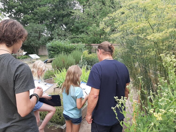 Ferienangebot: Vom Würzen, Heilen und Pflegen – Besuch im Klostergarten Memleben