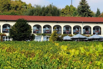 Hotel Rebschule