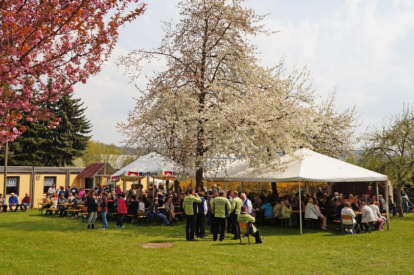 Maibaumsetzen in Maua 