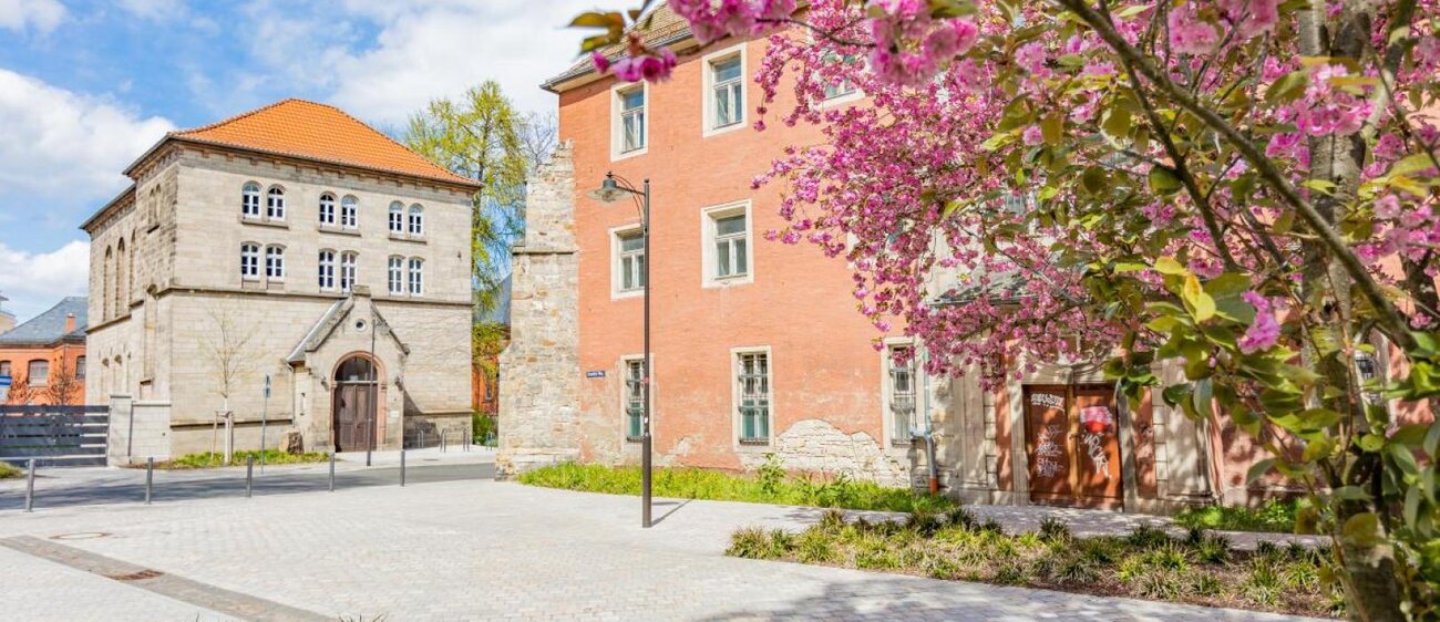 Kloster St. Claren in Weißenfels mit rosa blühenden Bäumen