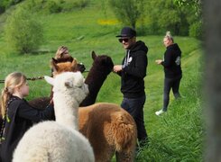 Stößen-Adams-Alpaka-Farm-Wanderung